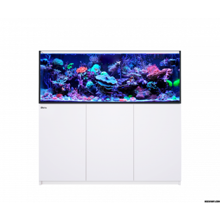 Red Sea Reefer MAX 525 G2+ Aquarium équipé