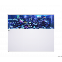 Red Sea Reefer MAX 750 G2+ Aquarium équipé