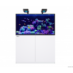 Red Sea Reefer MAX S-550 G2+ Aquarium équipé