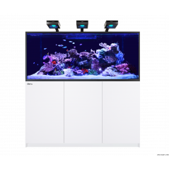 Red Sea Reefer MAX S-700 G2+ Aquarium équipé