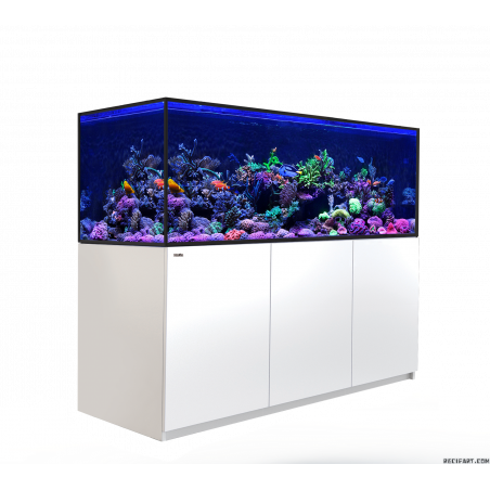 Red Sea Reefer MAX S-850 G2+ Aquarium équipé