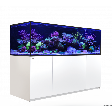 Red Sea Reefer MAX S-1000 G2+ Aquarium équipé