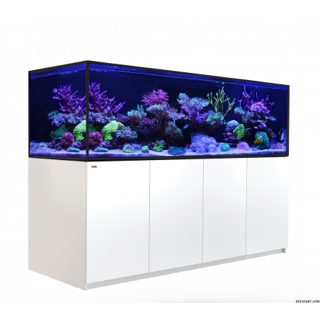 Red Sea Reefer MAX S-1000 G3 Aquarium équipé
