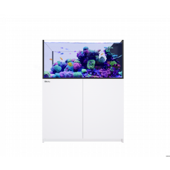 Red Sea Reefer MAX Peninsula 500 G3 Aquarium équipé