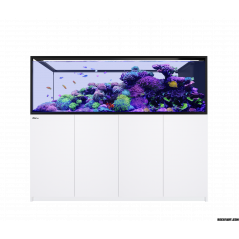 Red Sea Reefer MAX Peninsula S 950 G2+ Aquarium équipé