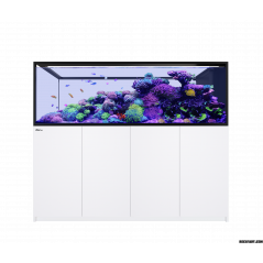Red Sea Reefer MAX Peninsula S 950 G3 Aquarium équipé
