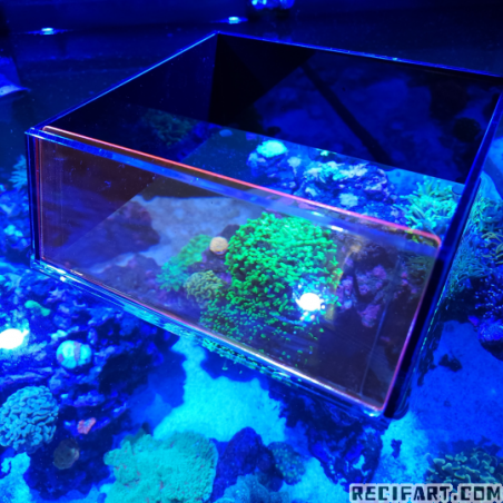 Flipper Top Down Viewer