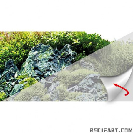 Découpe Frosty autocollante 100x50cm