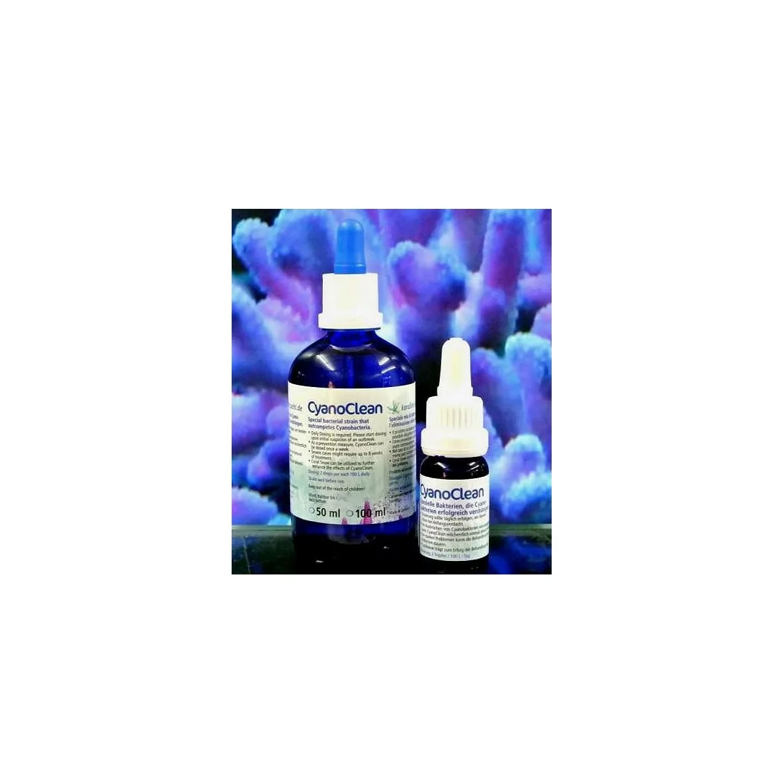 Korallen Zucht Cyanoclean 10ml Coral regeneration Korallen Zucht Cyanoclean 10ml Coral regeneration