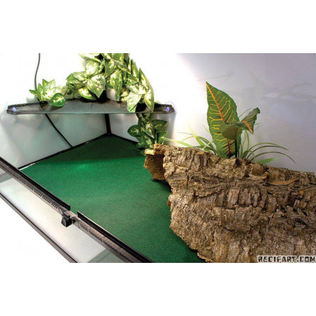 Komodo Reptile Carpet 60x50cm Accessoires