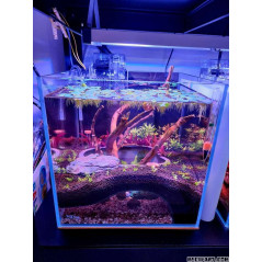 Hoekgrot voor terrarium/aquarium