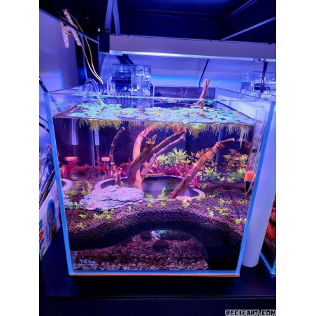 Cave Corner for terrarium/aquarium