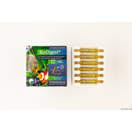 BioDigest 12 ampoules (bactéries)