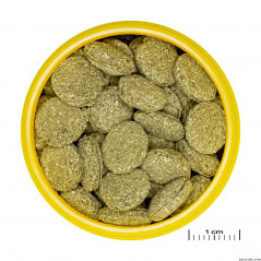 JBL PRONOVO PLECO OBLEA M 250ml