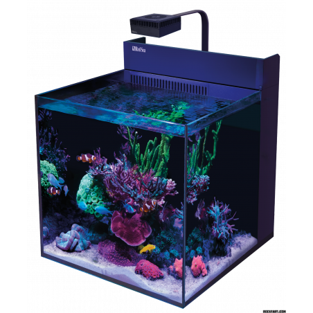 Red Sea Max Nano G2 XL Aquarium équipé
