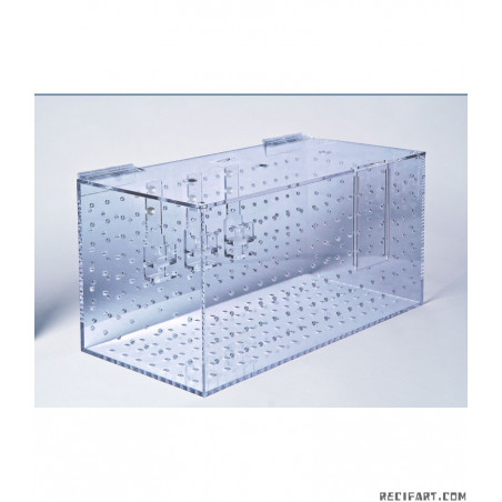 Bac d'acclimatation/quarantaine XL