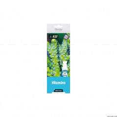 Aquarium systems Reef Shot Vitamine Aquarium systems