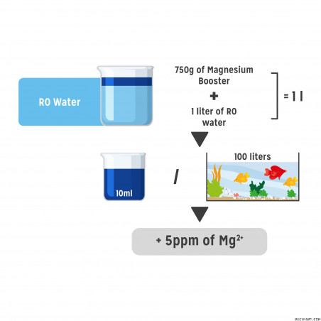 Magnesium Booster Pulver