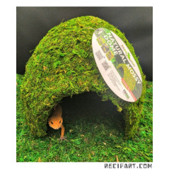 Reptizoo DOME MOUSSE NATURELLE 23x23x18cm Decoration