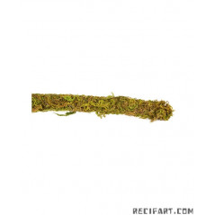 Reptizoo VINE MOUSSE NATURELLE Lg:2000mm dia:15mm Decoration