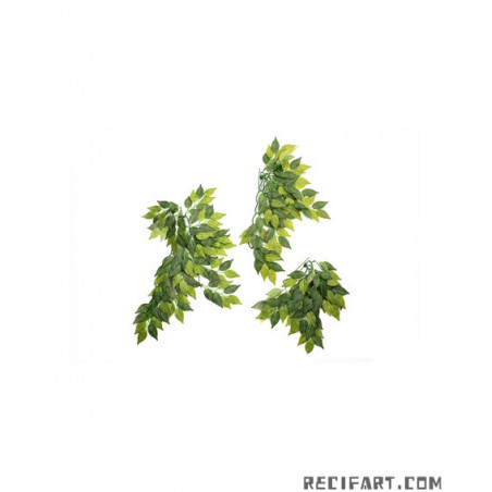 Reptizoo BANYAN LEAVES 50cm Decoration
