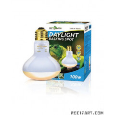 Reptizoo BASKING SPOT LAMP 100W (Neodymium) Terrarium lighting