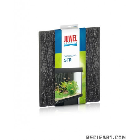 FOND ARRIERE STR 600 (500x595mm)