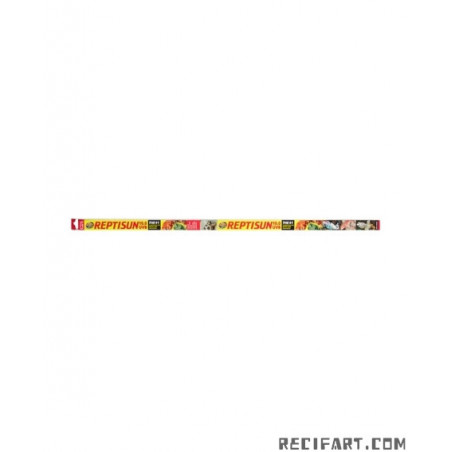 Zoomed REPTISUN 10% UVB 30W Eclairage