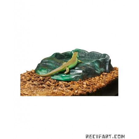 Zoomed VASQUE REPTI RAMP BOWL LARGE Accessoires