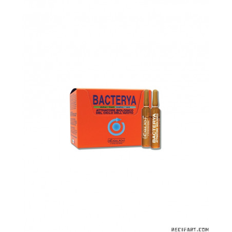 Equo Bacterya 5ml 12 bulbs Equo