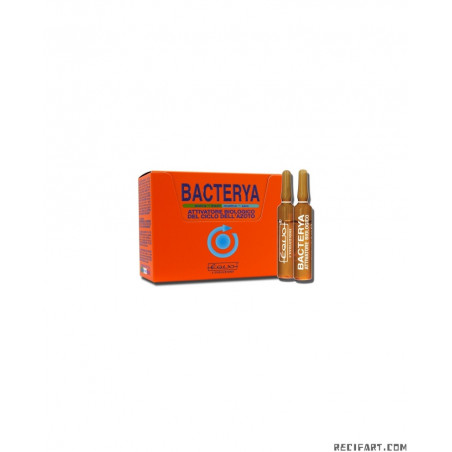 Equo Bacterya 5ml 24 ampoules Equo