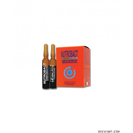 Equo Nutrobact 5ml 6 bacteria bulbs