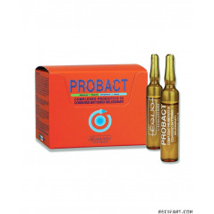 Equo Probact 5 ml 24 bacteriebollen