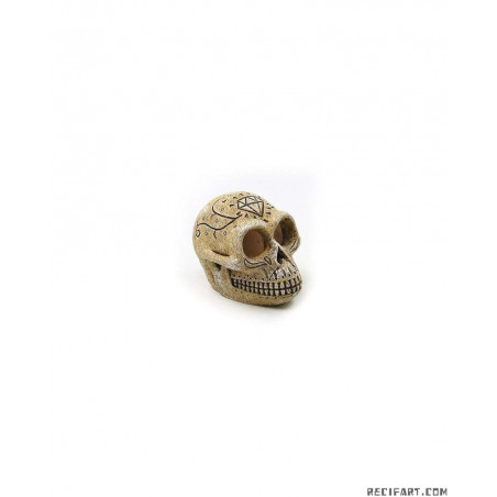Skull 7.3x5.5x5.5cm