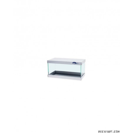 Scalare Tank 60x30x30cm 5mm 54l Simple tank