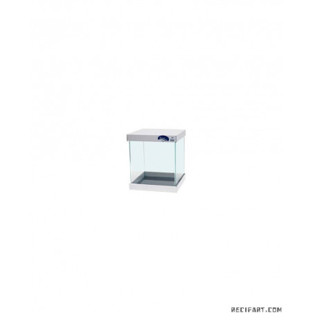 Scalare Cuve ultra clear bords incurvés 30x30x35cm 5mm 31l Cuve simple