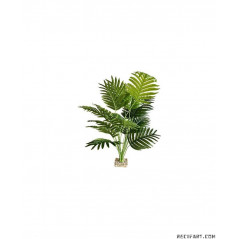 Scalare Terra palmier 72cm Décoration
