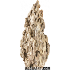 Sera Piedra Dragón de Roca 1 ud (1,2 – 1,8 kg) Decoración