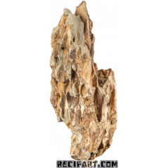 Piedra Dragón de Roca 1 ud (1,2 – 1,8 kg)