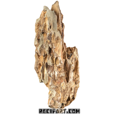 Rock Dragon Stone 1 pce (1.2 – 1.8 kg)