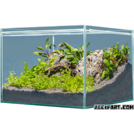 Hardscape Asia 1 pce