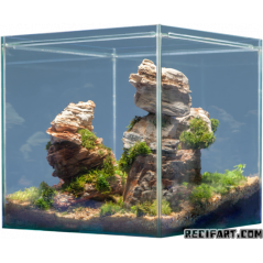 Hardscape Grand Canyon 1 pce