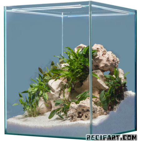 Hardscape Afrika 1 db