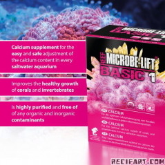 Microbe Lift Basic 1 2000g Microbe Lift