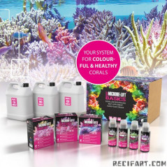 Microbe Lift Basic 2 1000g Microbe Lift