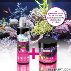 ARKA Ph increase 236 ml ARKA