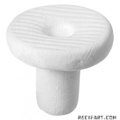 ARKA Arka® myreef®-plug 21 (X12) Bouturage