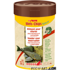 Wels-Chips Natur 250 ml (95 g)