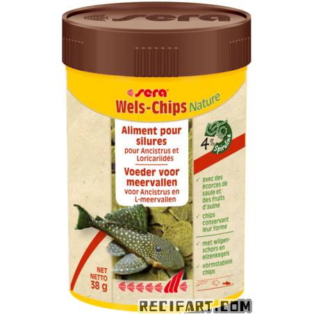 Wels-Chips Nature 250 ml (95 g)