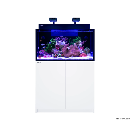 Red Sea Max Nano G2 Acuario equipado
